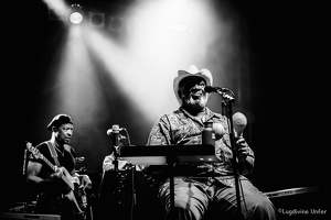 Taj-Mo-Blues-Express2017-Lasauvage-Luxembourg-by-Lugdivine-Unfer-60