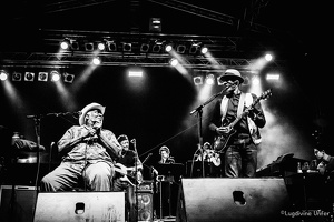 Taj-Mo-Blues-Express2017-Lasauvage-Luxembourg-by-Lugdivine-Unfer-61