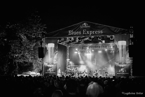 Taj-Mo-Blues-Express2017-Lasauvage-Luxembourg-by-Lugdivine-Unfer-73