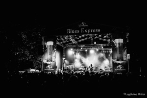 Taj-Mo-Blues-Express2017-Lasauvage-Luxembourg-by-Lugdivine-Unfer-78