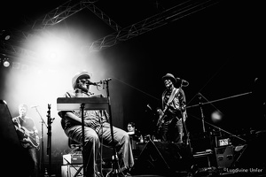 Taj-Mo-Blues-Express2017-Lasauvage-Luxembourg-by-Lugdivine-Unfer-82