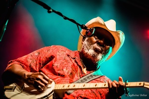 color-Taj-Mo-Blues-Express2017-Lasauvage-Luxembourg-by-Lugdivine-Unfer-48