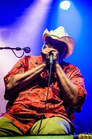 color-Taj-Mo-Blues-Express2017-Lasauvage-Luxembourg-by-Lugdivine-Unfer-51