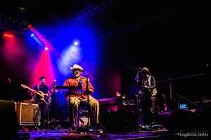 color-Taj-Mo-Blues-Express2017-Lasauvage-Luxembourg-by-Lugdivine-Unfer-59