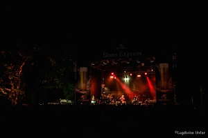 color-Taj-Mo-Blues-Express2017-Lasauvage-Luxembourg-by-Lugdivine-Unfer-72