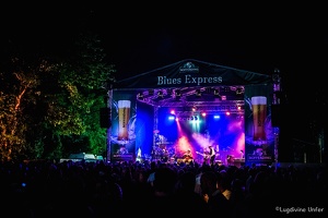 color-Taj-Mo-Blues-Express2017-Lasauvage-Luxembourg-by-Lugdivine-Unfer-74