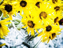 1-Bogota-COLOMBIA-2018-by-Lugdivine-Unfer-52