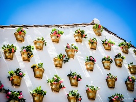 2-VilaDeLeyva-COLOMBIA-2018-by-Lugdivine-Unfer-99