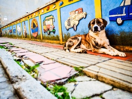 4-Guatape-COLOMBIA-2018-by-Lugdivine-Unfer-103