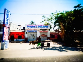 7-Cartagena-COLOMBIA-2018-by-Lugdivine-Unfer-1