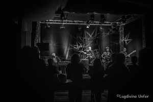 B&W-LittleBluesBand-Schungfabrik-Tetange-LU-03032016-by-Lugdivine-Unfer-26