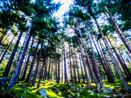 Corsica-september2018-by-Lugdivine-Unfer-471