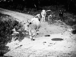 Corsica-september2018-by-Lugdivine-Unfer-397