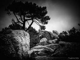 Corsica-september2018-by-Lugdivine-Unfer-262