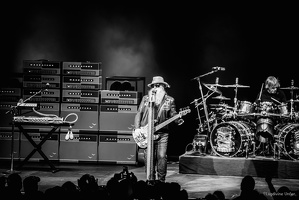 ZZTop-Zenith-Nancy-FR-08072019-by-lugdivine-unfer-12