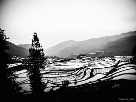 B&W-Yunnan-April2019-by-Lugdivine-Unfer-282
