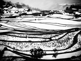 B&W-Yunnan-April2019-by-Lugdivine-Unfer-293