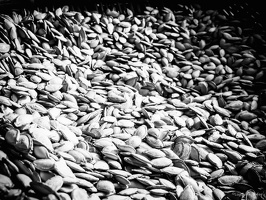 B&W-Yunnan-April2019-by-Lugdivine-Unfer-310