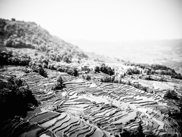 B&W-Yunnan-April2019-by-Lugdivine-Unfer-361