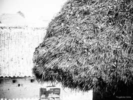 B&W-Yunnan-April2019-by-Lugdivine-Unfer-524