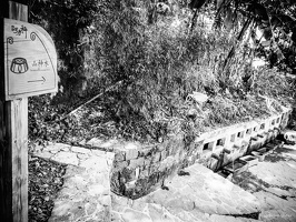 B&W-Yunnan-April2019-by-Lugdivine-Unfer-525