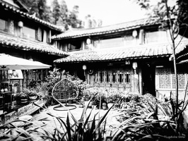 B&W-Yunnan-April2019-by-Lugdivine-Unfer-1019