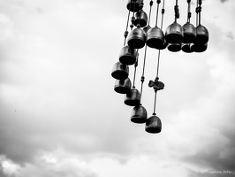 B&W-Yunnan-April2019-by-Lugdivine-Unfer-1046