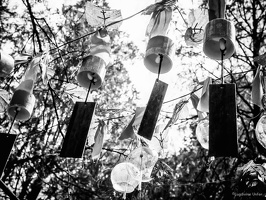 B&W-Yunnan-April2019-by-Lugdivine-Unfer-1147