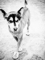 B&W-Yunnan-April2019-by-Lugdivine-Unfer-1578