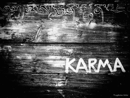 B&W-Yunnan-April2019-by-Lugdivine-Unfer-1615