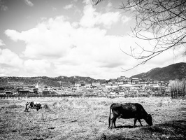 B&W-Yunnan-April2019-by-Lugdivine-Unfer-1752