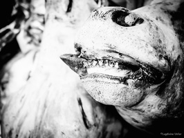 B&W-Yunnan-April2019-by-Lugdivine-Unfer-1851