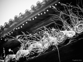 B&W-Yunnan-April2019-by-Lugdivine-Unfer-992