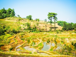 Yunnan-April2019-by-Lugdivine-Unfer-338