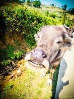 Yunnan-April2019-by-Lugdivine-Unfer-342