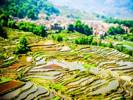 Yunnan-April2019-by-Lugdivine-Unfer-362