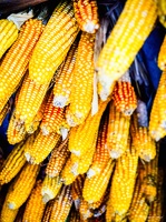 Yunnan-April2019-by-Lugdivine-Unfer-429