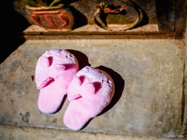 Yunnan-April2019-by-Lugdivine-Unfer-444