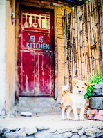 Yunnan-April2019-by-Lugdivine-Unfer-457