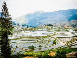 Yunnan-April2019-by-Lugdivine-Unfer-460