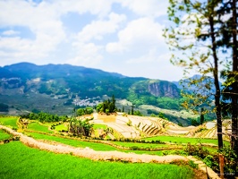 Yunnan-April2019-by-Lugdivine-Unfer-548