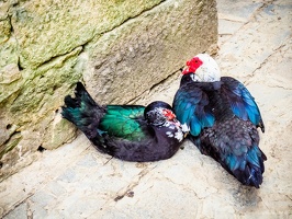 Yunnan-April2019-by-Lugdivine-Unfer-568