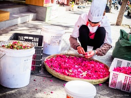 Yunnan-April2019-by-Lugdivine-Unfer-726