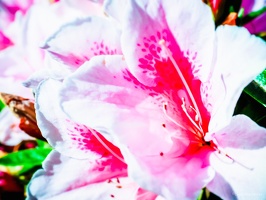 Yunnan-April2019-by-Lugdivine-Unfer-1135