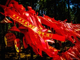 Yunnan-April2019-by-Lugdivine-Unfer-1144