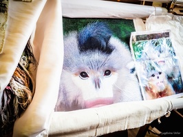 Yunnan-April2019-by-Lugdivine-Unfer-1227