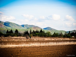 Yunnan-April2019-by-Lugdivine-Unfer-1283
