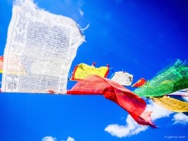 Yunnan-April2019-by-Lugdivine-Unfer-1739