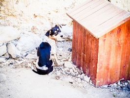 Yunnan-April2019-by-Lugdivine-Unfer-1768