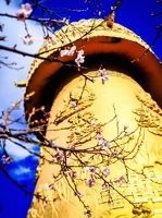 Yunnan-April2019-by-Lugdivine-Unfer-1784